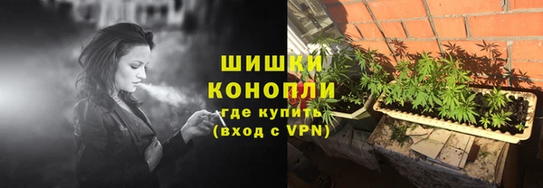 индика Горнозаводск